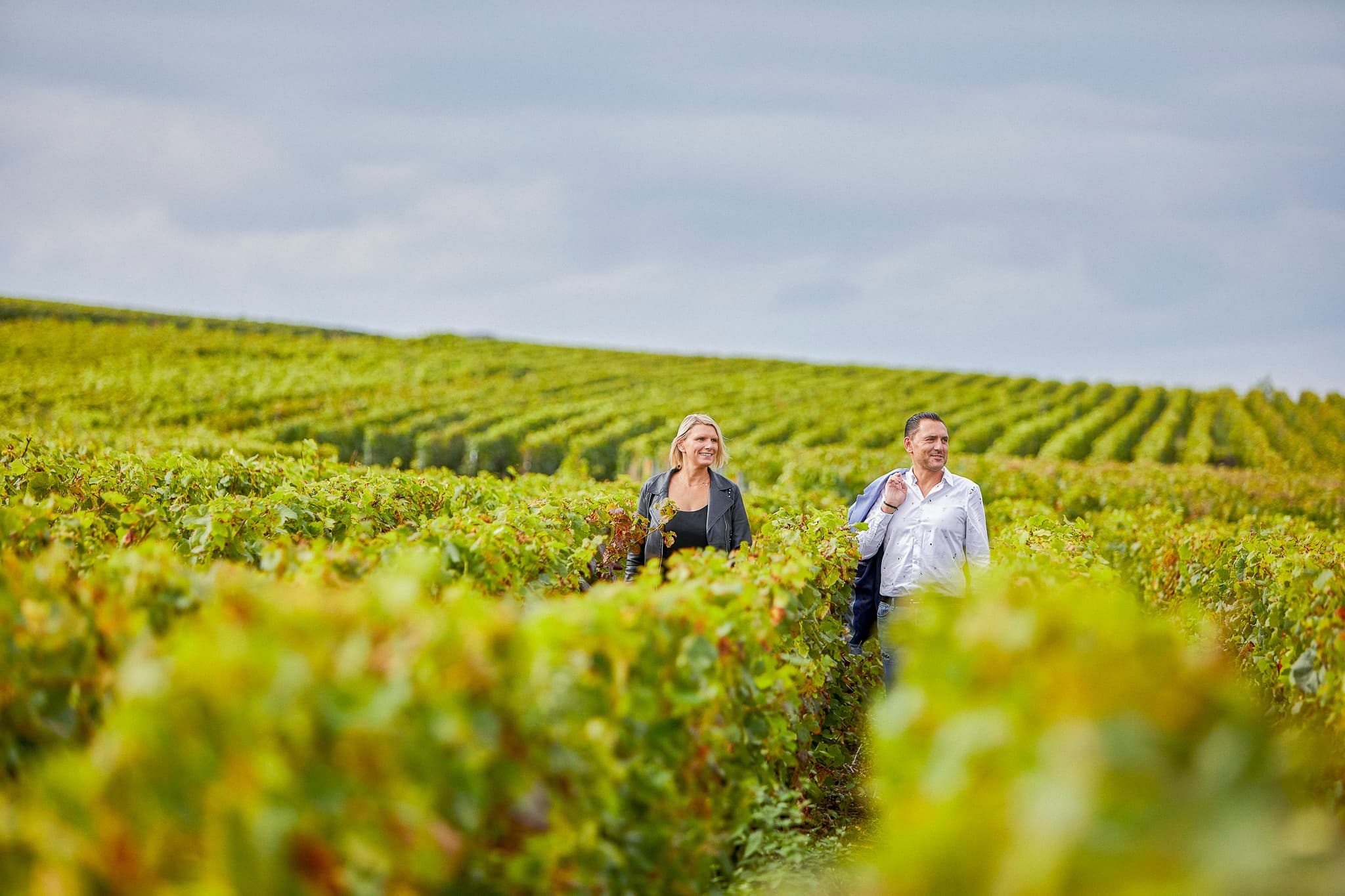 James Drouot estate in Verzenay, Champagne Grand Cru