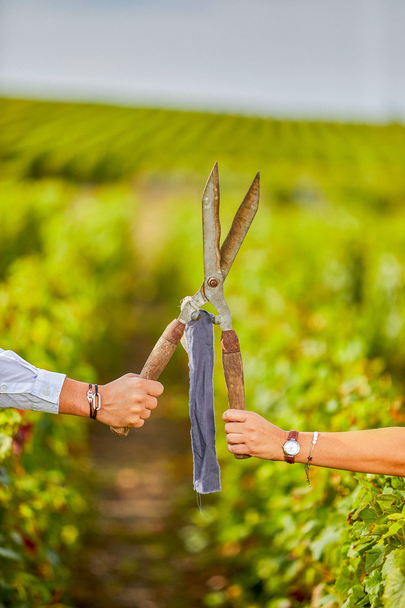 Verzenay Grand Cru Vineyard - James Drouot Champagne House