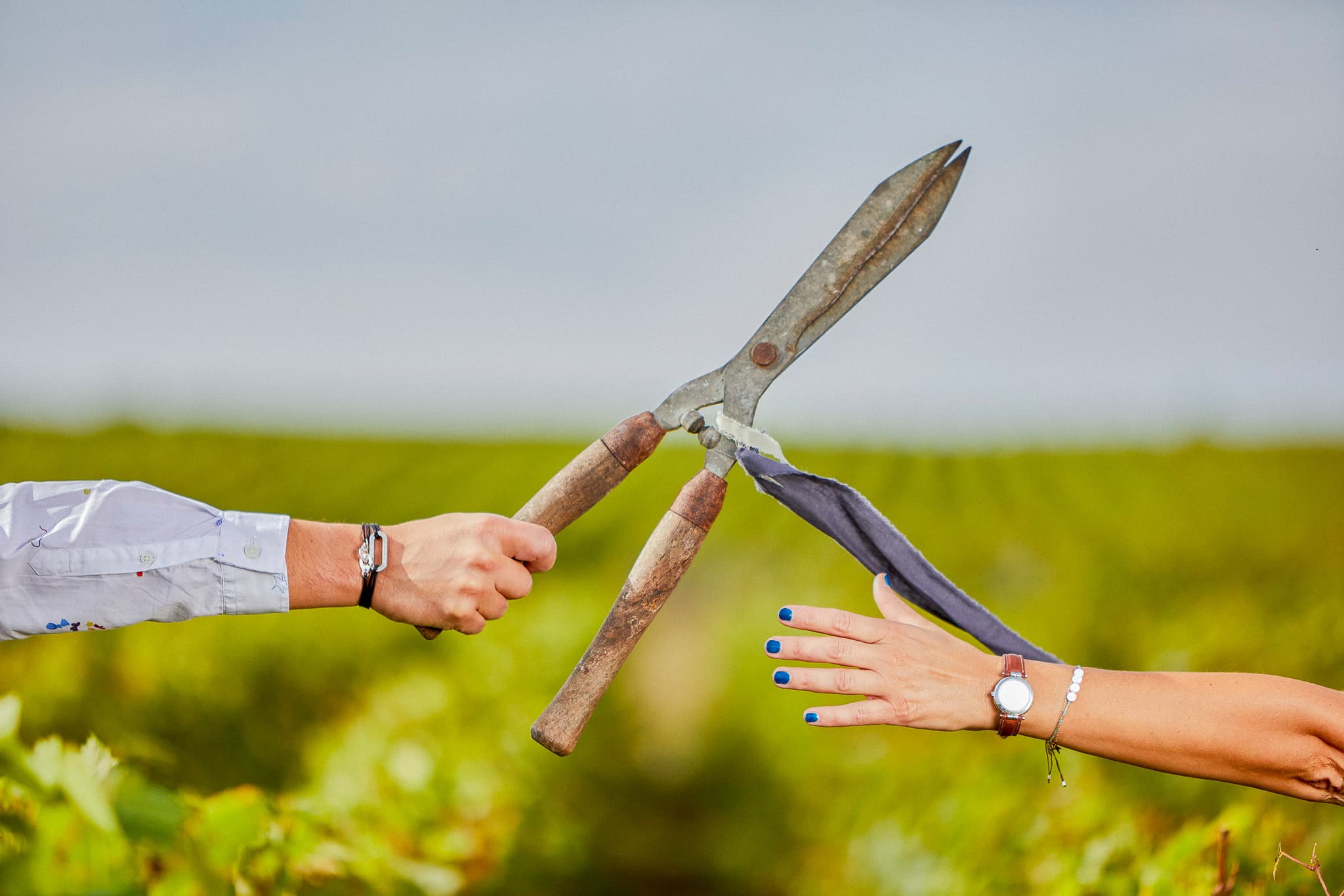 Verzenay Grand Cru Vineyard - James Drouot Champagne House
